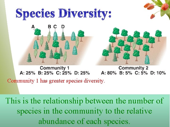 Species Diversity: Community 1 has greater species diversity. This is the relationship between the