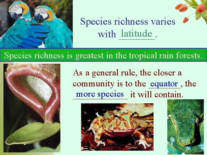 Species richness varies latitude with _______. Species richness is greatest in the tropical rain