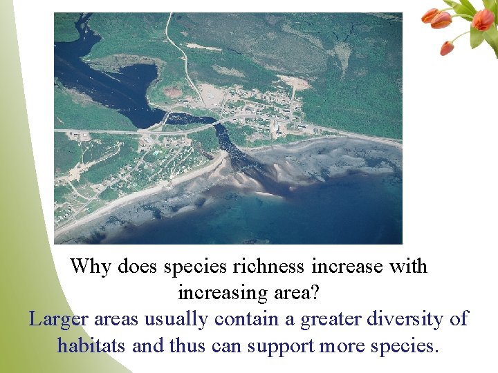 Why does species richness increase with increasing area? Larger areas usually contain a greater