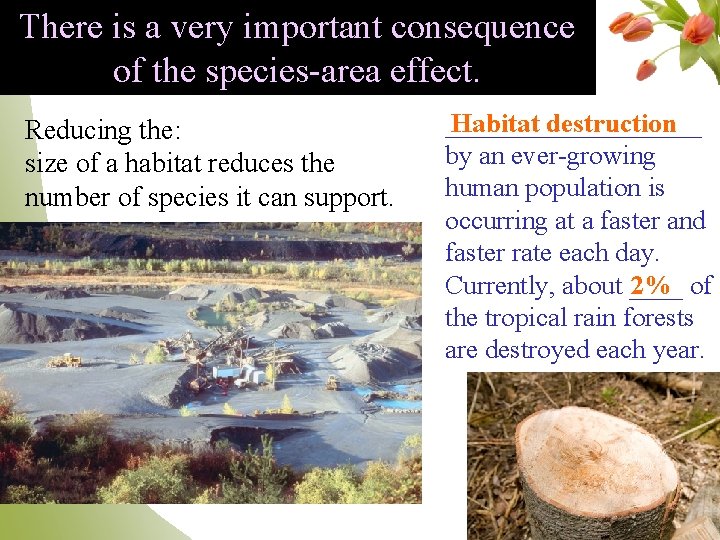 There is a very important consequence of the species-area effect. Reducing the: size of