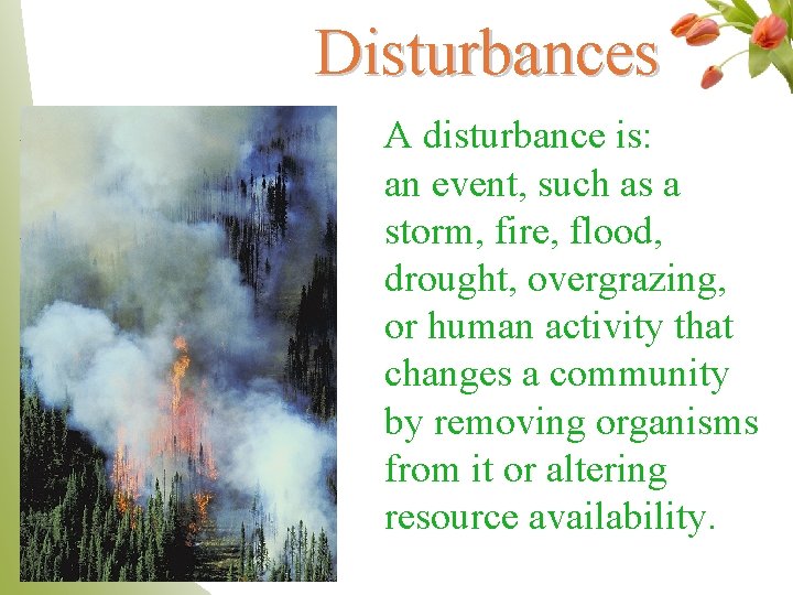 Disturbances A disturbance is: an event, such as a storm, fire, flood, drought, overgrazing,