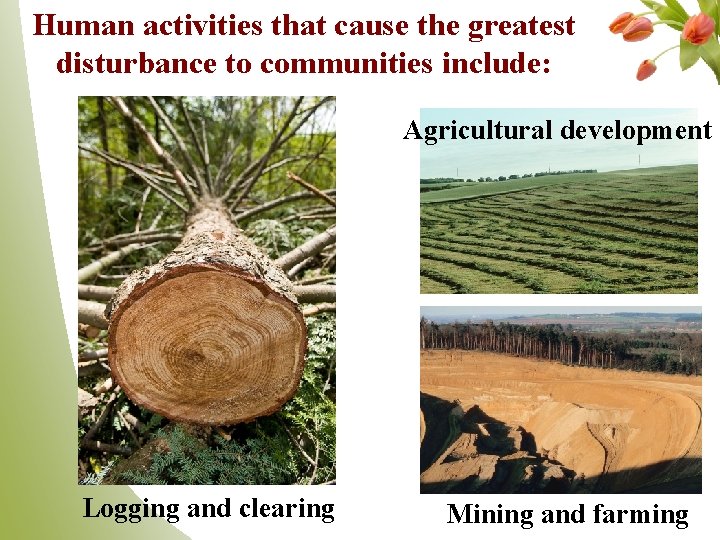 Human activities that cause the greatest disturbance to communities include: Agricultural development Logging and