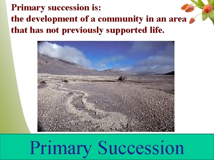 Primary succession is: the development of a community in an area that has not