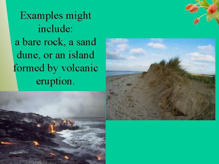 Examples might include: a bare rock, a sand dune, or an island formed by