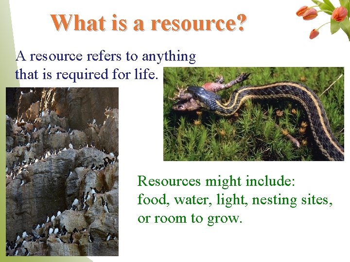 What is a resource? A resource refers to anything that is required for life.