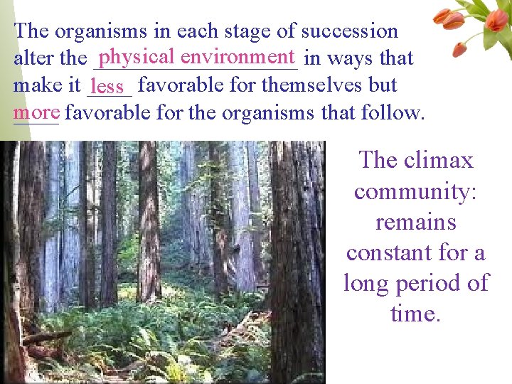 The organisms in each stage of succession physical environment in ways that alter the