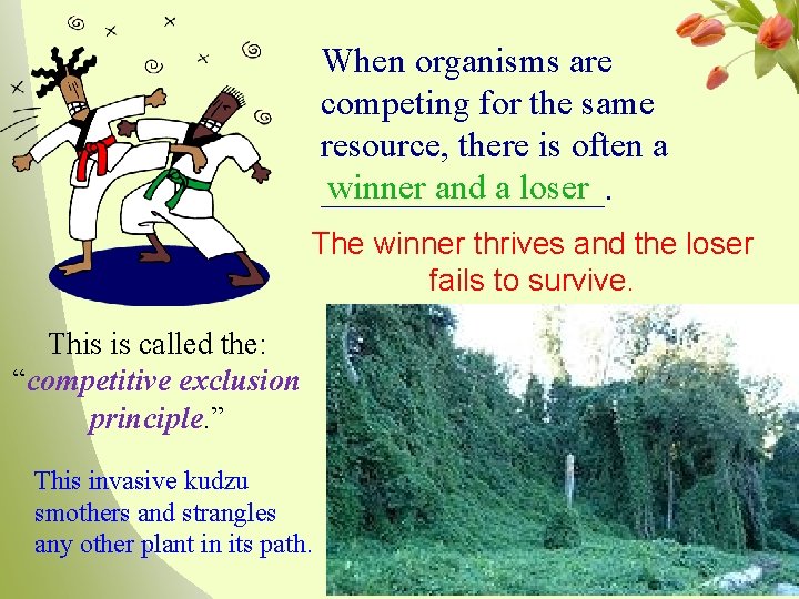 When organisms are competing for the same resource, there is often a winner and