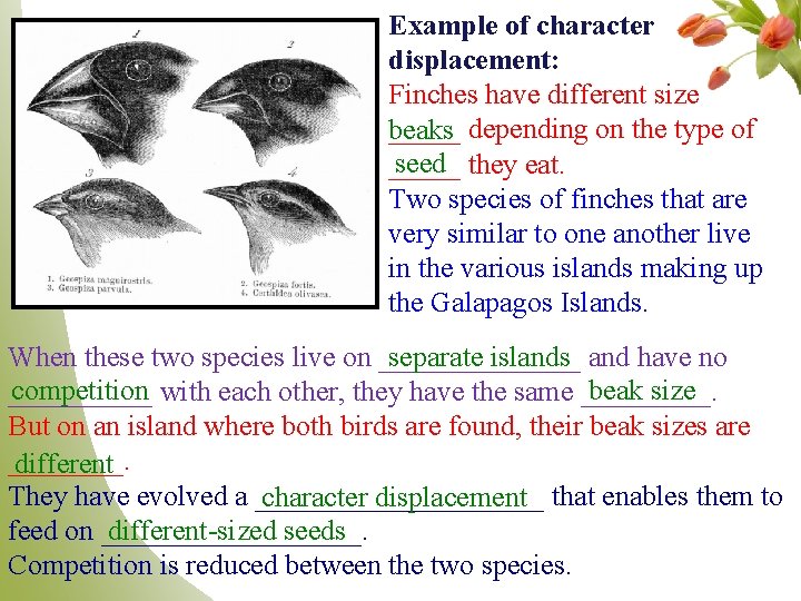 Example of character displacement: Finches have different size _____ depending on the type of