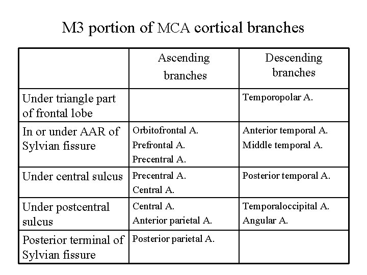 M 3 portion of MCA cortical branches Ascending branches Temporopolar A. Under triangle part