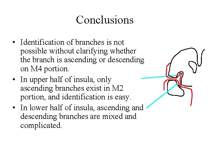 Conclusions • Identification of branches is not possible without clarifying whether the branch is