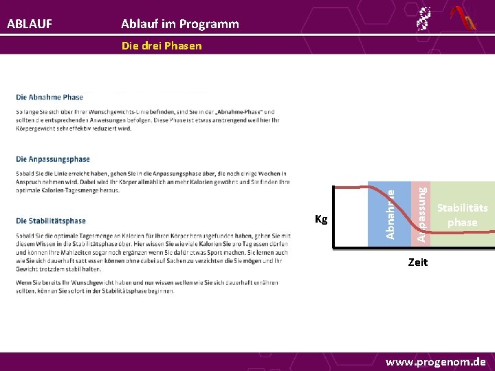 Ablauf im Programm Kg Anpassung Die drei Phasen Abnahme ABLAUF Stabilitäts phase Zeit www.