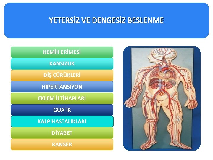 YETERSİZ VE DENGESİZ BESLENME KEMİK ERİMESİ KANSIZLIK DİŞ ÇÜRÜKLERİ HİPERTANSİYON EKLEM İLTİHAPLARI GUATR KALP