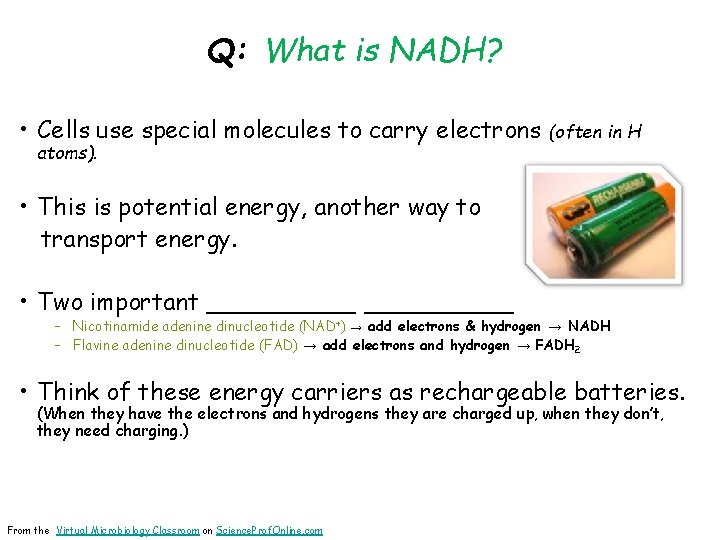 Q: What is NADH? • Cells use special molecules to carry electrons atoms). (often