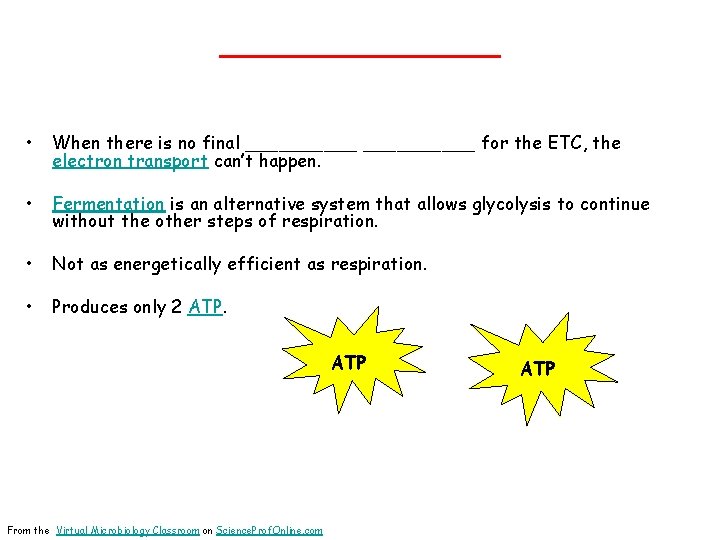 _______ • When there is no final __________ for the ETC, the electron transport