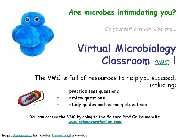 Are microbes intimidating you? Do yourself a favor. Use the… Virtual Microbiology Classroom (VMC)