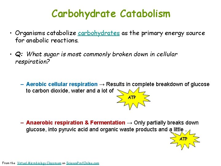 Carbohydrate Catabolism • Organisms catabolize carbohydrates as the primary energy source for anabolic reactions.