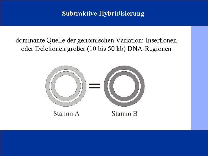 Subtraktive Hybridisierung dominante Quelle der genomischen Variation: Insertionen oder Deletionen großer (10 bis 50