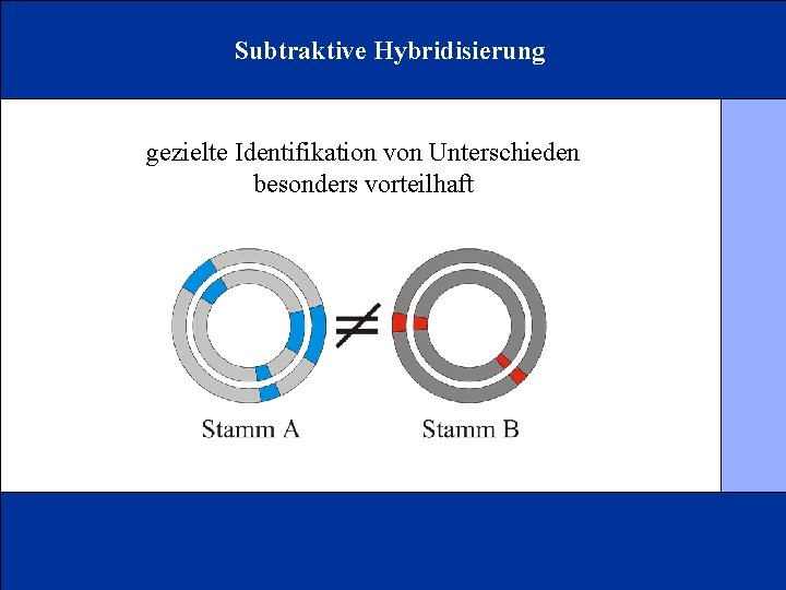 Subtraktive Hybridisierung gezielte Identifikation von Unterschieden besonders vorteilhaft 