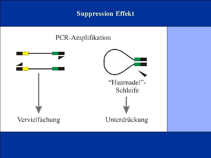 Suppression Effekt 