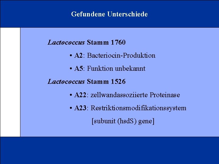 Gefundene Unterschiede Lactococcus Stamm 1760 • A 2: Bacteriocin-Produktion • A 5: Funktion unbekannt