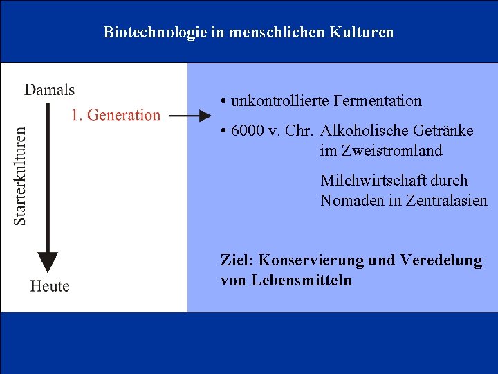 Biotechnologie in menschlichen Kulturen • unkontrollierte Fermentation • 6000 v. Chr. Alkoholische Getränke im