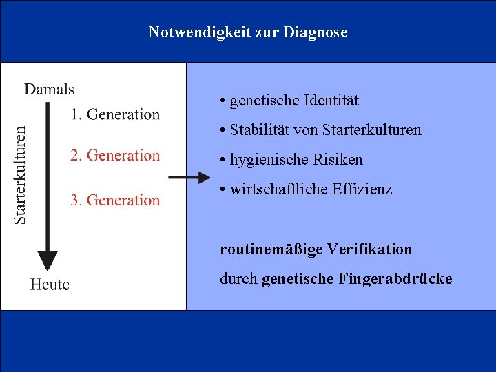 Notwendigkeit zur Diagnose • genetische Identität • Stabilität von Starterkulturen • hygienische Risiken •