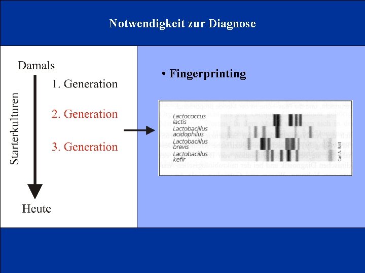 Notwendigkeit zur Diagnose • Fingerprinting 
