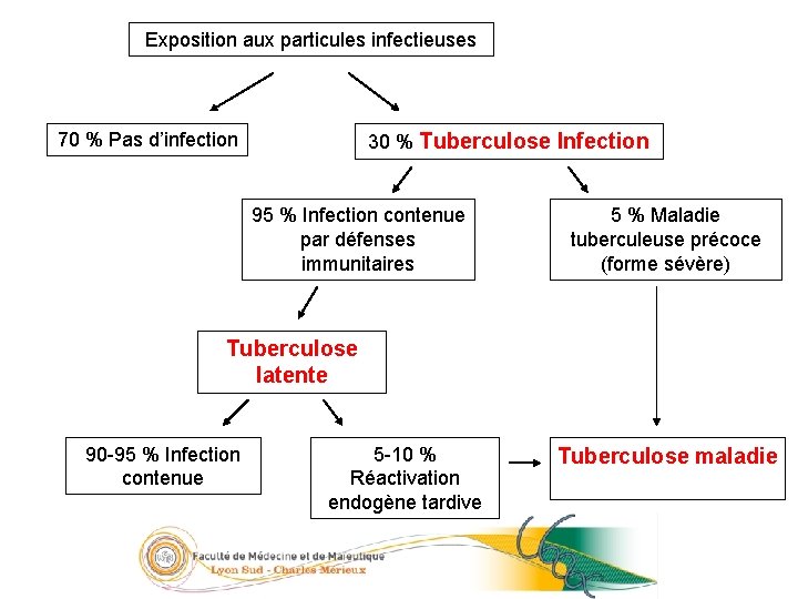 12/23 Exposition aux particules infectieuses 70 % Pas d’infection 30 % Tuberculose Infection 95