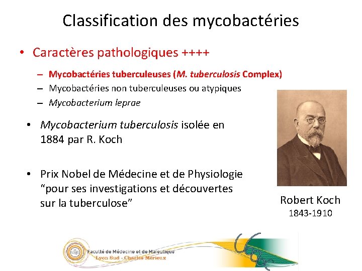 4/23 Classification des mycobactéries • Caractères pathologiques ++++ – Mycobactéries tuberculeuses (M. tuberculosis Complex)