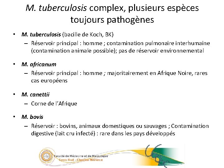 M. tuberculosis complex, plusieurs espèces toujours pathogènes 5/23 • M. tuberculosis (bacille de Koch,