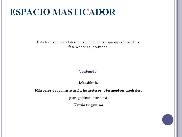 ESPACIO MASTICADOR Está formado por el desdoblamiento de la capa superficial de la fascia