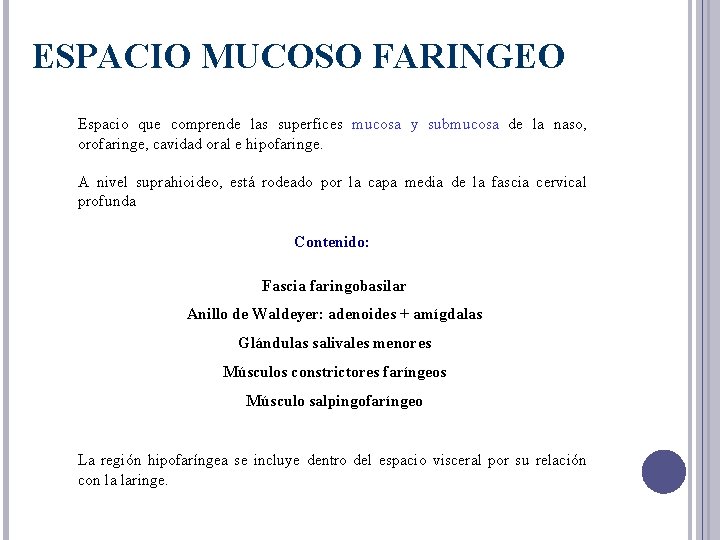 ESPACIO MUCOSO FARINGEO Espacio que comprende las superfices mucosa y submucosa de la naso,