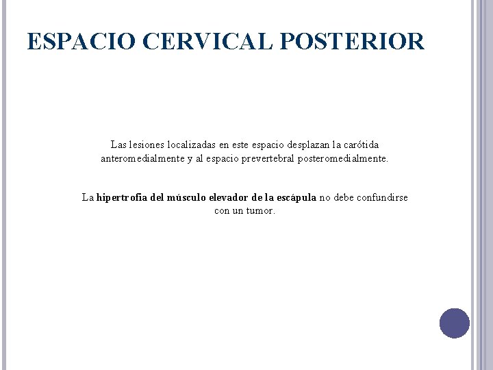 ESPACIO CERVICAL POSTERIOR Las lesiones localizadas en este espacio desplazan la carótida anteromedialmente y