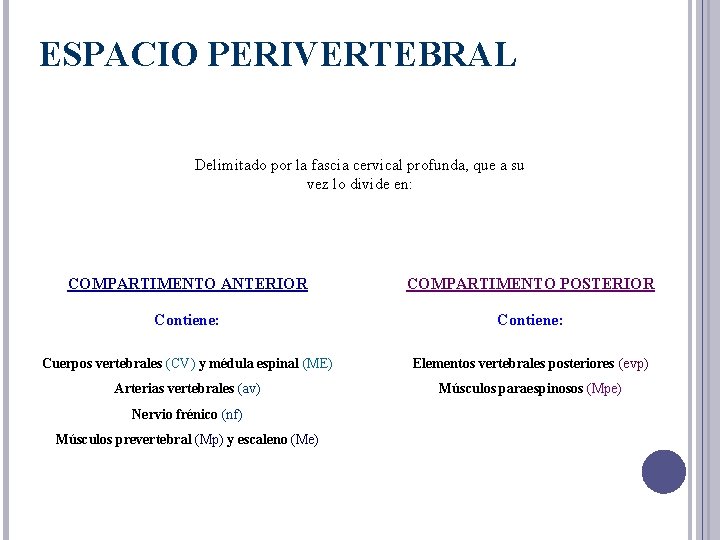 ESPACIO PERIVERTEBRAL Delimitado por la fascia cervical profunda, que a su vez lo divide