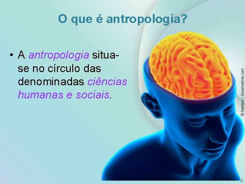  • A antropologia situase no círculo das denominadas ciências humanas e sociais. ©