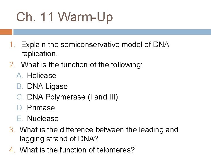 Ch. 11 Warm-Up 1. Explain the semiconservative model of DNA replication. 2. What is