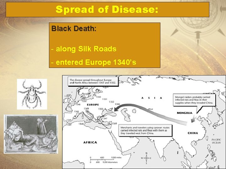 Spread of Disease: Black Death: - along Silk Roads - entered Europe 1340’s 