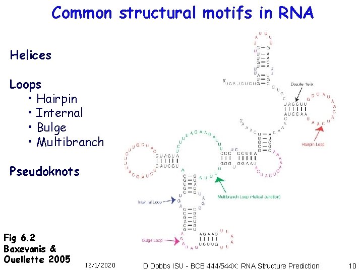 Common structural motifs in RNA Helices Loops • Hairpin • Internal • Bulge •