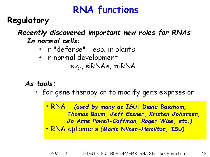 RNA functions Regulatory Recently discovered important new roles for RNAs In normal cells: •