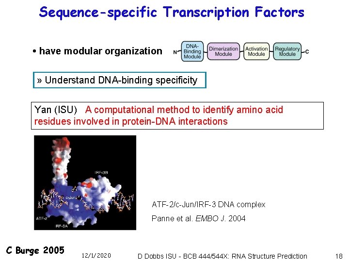 Sequence-specific Transcription Factors • have modular organization » Understand DNA-binding specificity Yan (ISU) A