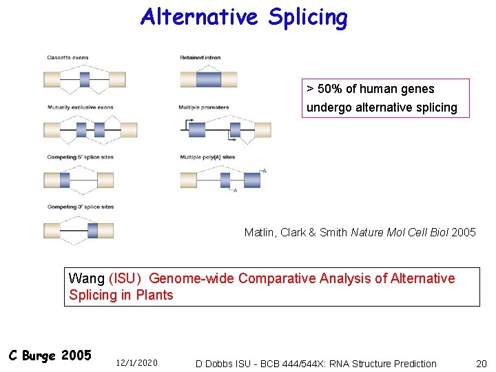 Alternative Splicing > 50% of human genes undergo alternative splicing Matlin, Clark & Smith