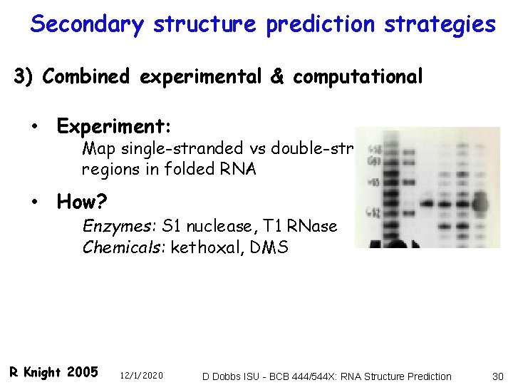 Secondary structure prediction strategies 3) Combined experimental & computational • Experiment: Map single-stranded vs