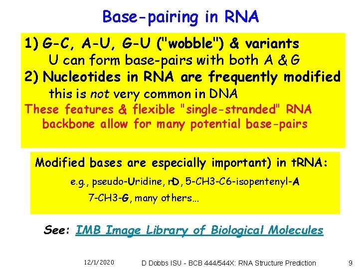 Base-pairing in RNA 1) G-C, A-U, G-U ("wobble") & variants U can form base-pairs