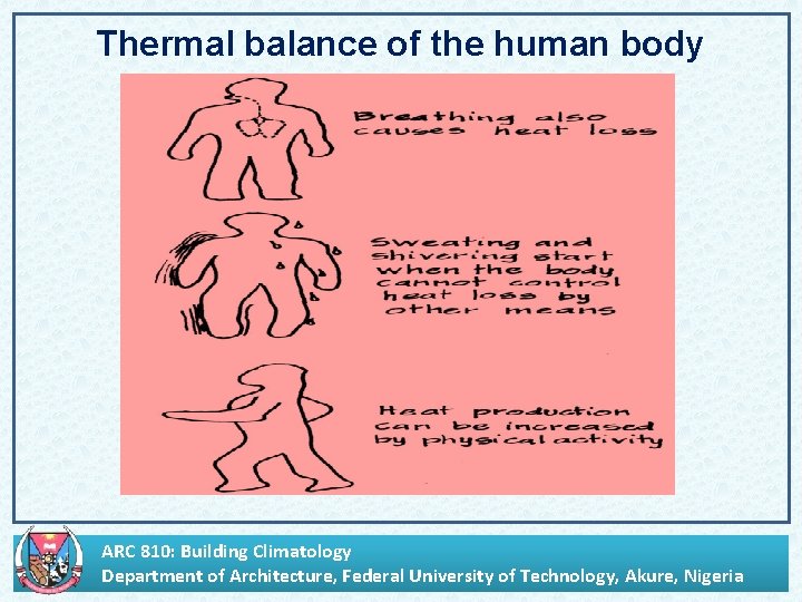 Thermal balance of the human body ARC 810: Building Climatology Department of Architecture, Federal