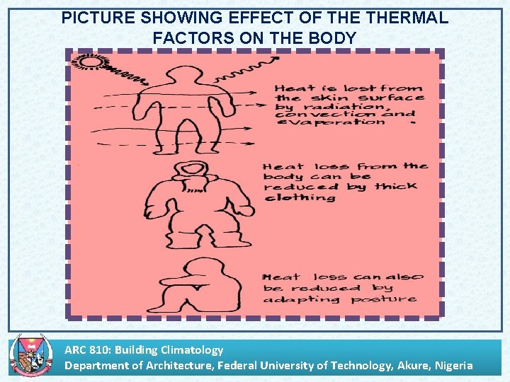 PICTURE SHOWING EFFECT OF THERMAL FACTORS ON THE BODY ARC 810: Building Climatology Department