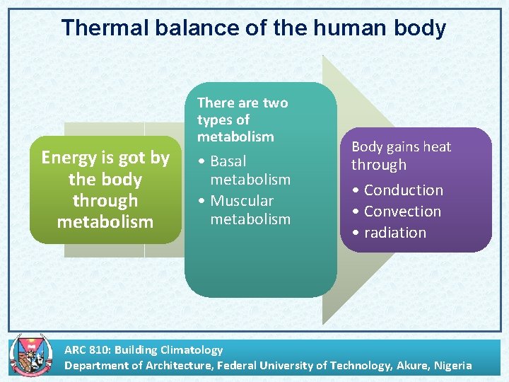 Thermal balance of the human body Energy is got by the body through metabolism