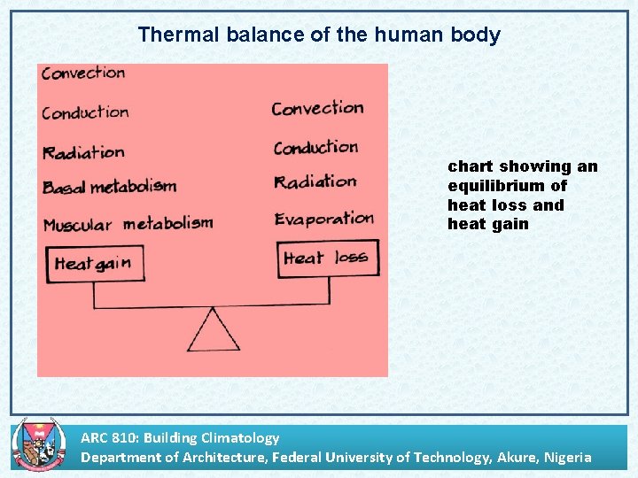 Thermal balance of the human body chart showing an equilibrium of heat loss and