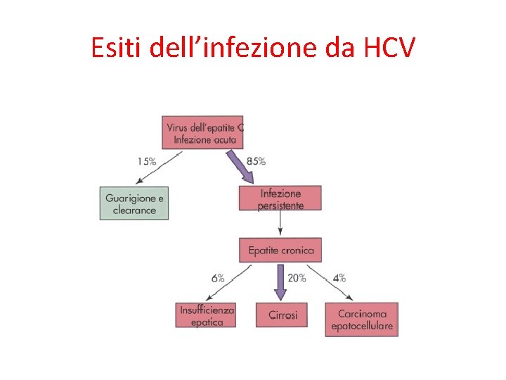 Esiti dell’infezione da HCV Esiti dell’infezione da HCV