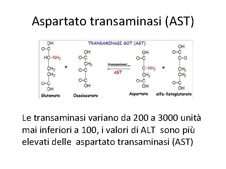 Aspartato transaminasi (AST) Le transaminasi variano da 200 a 3000 unità mai inferiori a