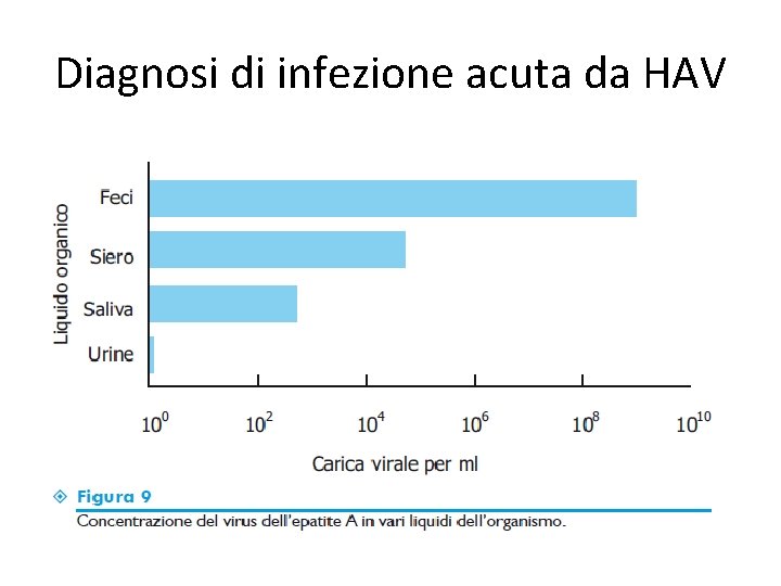 Diagnosi di infezione acuta da HAV Diagnosi di infezione acuta da HAV